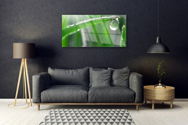 Quadro in vetro Gocciolina Rosa Foglia Erba 100x50 cm 2 appendini