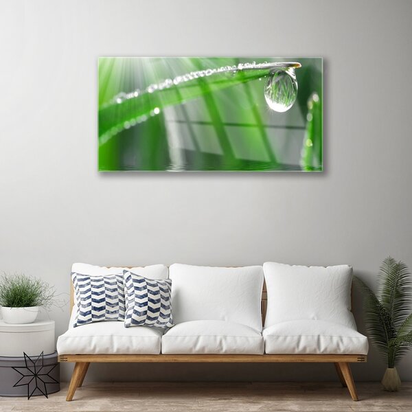 Quadro in vetro Gocciolina Rosa Foglia Erba 100x50 cm 2 appendini