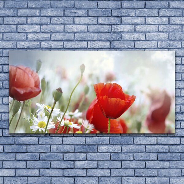 Quadro su tela Fiori, petali, piante 100x50 cm