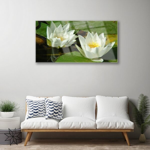 Quadro su vetro Fiori Piante Natura 100x50 cm 2 appendini
