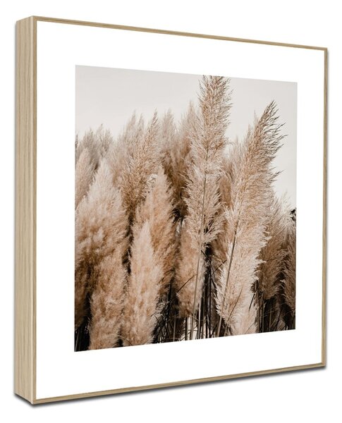 Quadri in set di 4 pezzi 30x30 cm Aesthetic - knor
