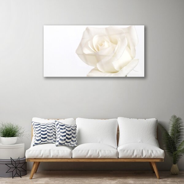 Quadro di vetro Fiori di rosa 100x50 cm 2 appendini