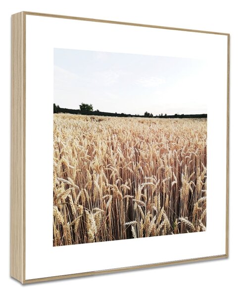 Quadri in set di 4 pezzi 30x30 cm Aesthetic - knor