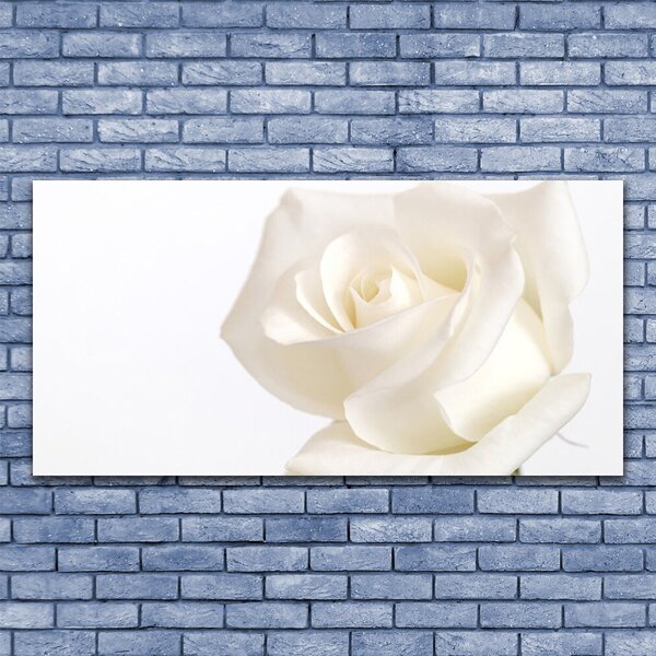 Quadro su tela Fiori di rosa 100x50 cm