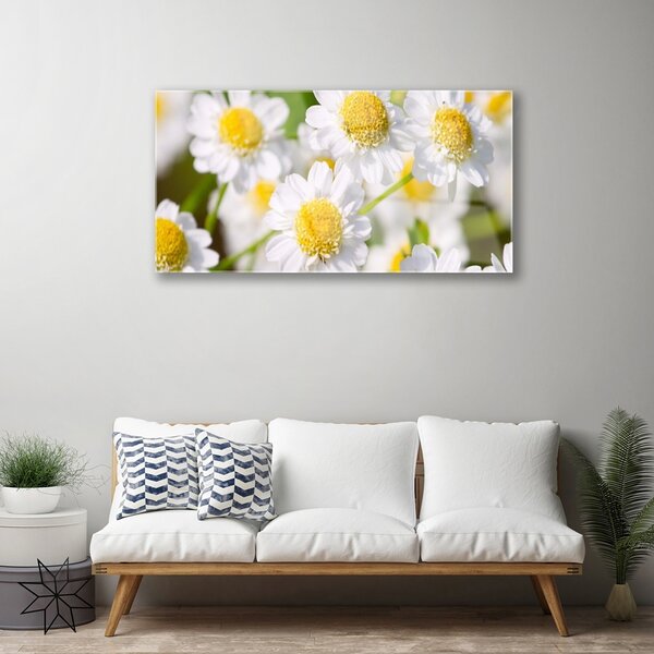 Quadro in vetro Margherita Fiori della natura 100x50 cm 2 appendini