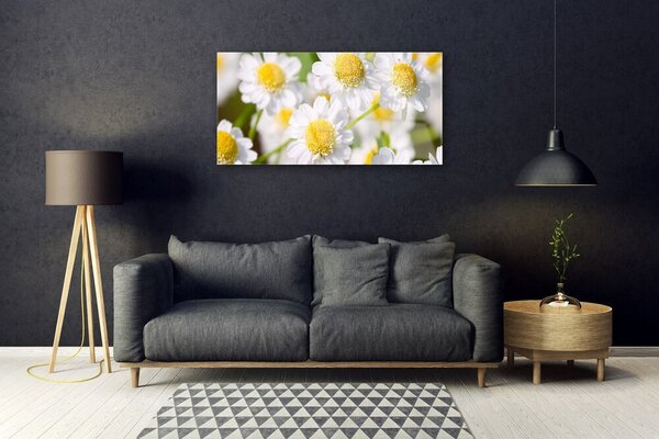 Quadro in vetro Margherita Fiori della natura 100x50 cm 2 appendini