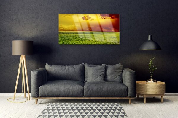 Quadro su vetro Paesaggio di campo 100x50 cm 2 appendini