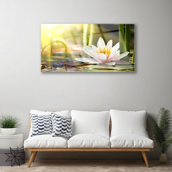 Quadro vetro Fiore di ninfea 100x50 cm 2 appendini