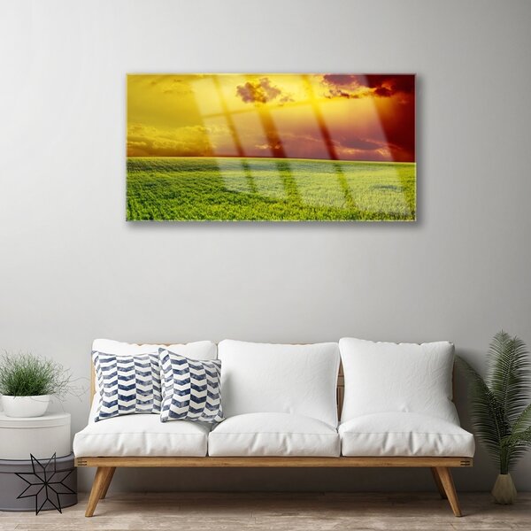 Quadro su vetro Paesaggio di campo 100x50 cm 2 appendini
