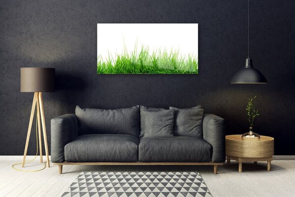Quadro vetro Erba Natura Pianta 100x50 cm 2 appendini