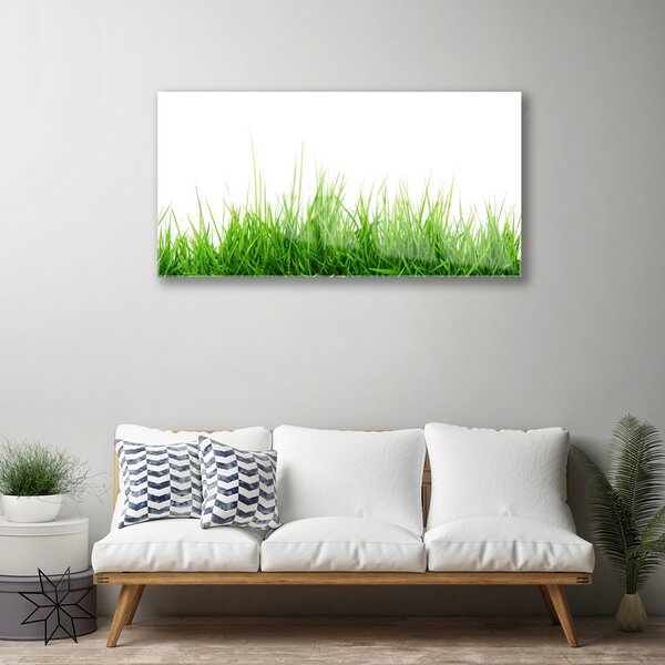 Quadro vetro Erba Natura Pianta 100x50 cm 2 appendini