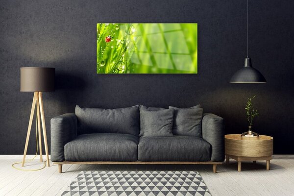 Quadro su vetro Erba coccinella Natura 100x50 cm 2 appendini
