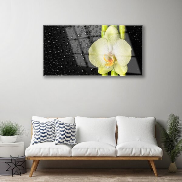 Quadro su vetro Fiori di orchidea di bambù 100x50 cm 2 appendini