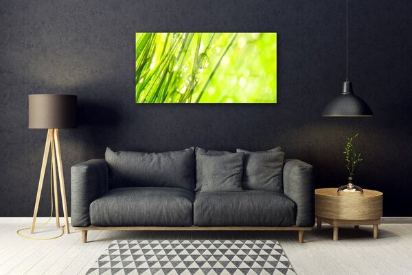 Quadro su vetro Gocce di Natura Erba 100x50 cm 2 appendini