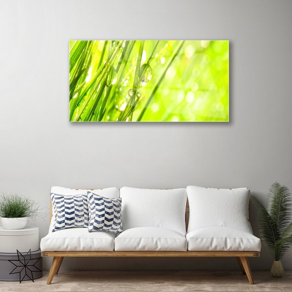 Quadro su vetro Gocce di Natura Erba 100x50 cm 2 appendini