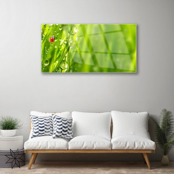 Quadro su vetro Erba coccinella Natura 100x50 cm 2 appendini