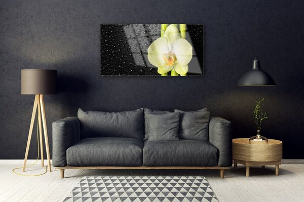 Quadro su vetro Fiori di orchidea di bambù 100x50 cm 2 appendini