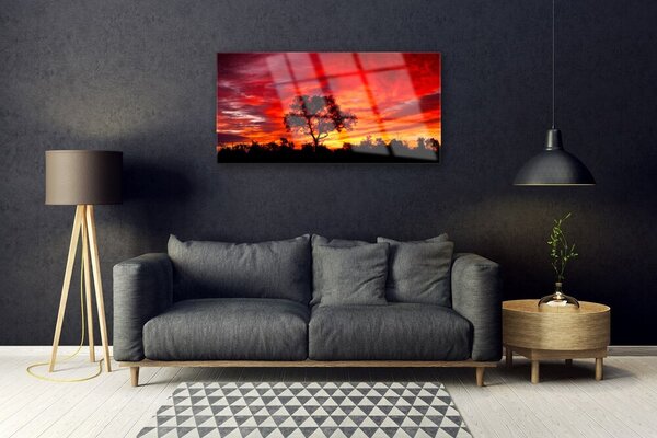 Quadro su vetro Foresta Paesaggio Natura 100x50 cm 2 appendini