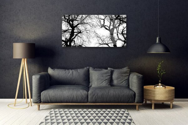 Quadro in vetro Natura Alberi in bianco e nero 100x50 cm 2 appendini