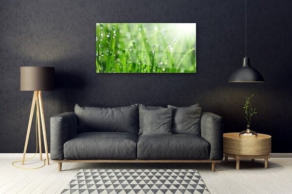 Quadro su vetro Gocce di erba naturale 100x50 cm 2 appendini
