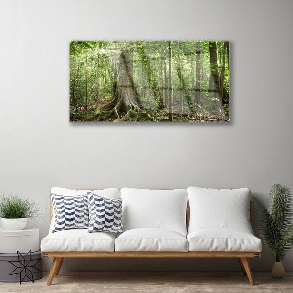 Quadro su vetro Foresta Natura Giungla Alberi 100x50 cm 2 appendini