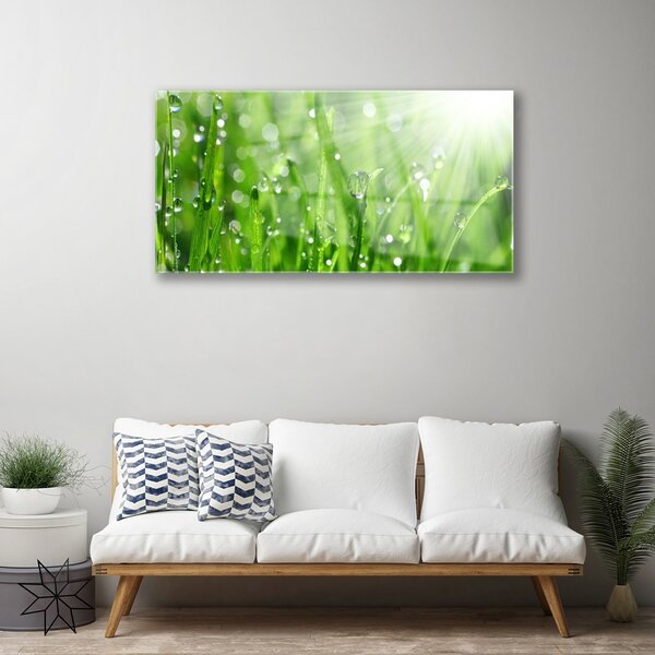 Quadro su vetro Gocce di erba naturale 100x50 cm 2 appendini