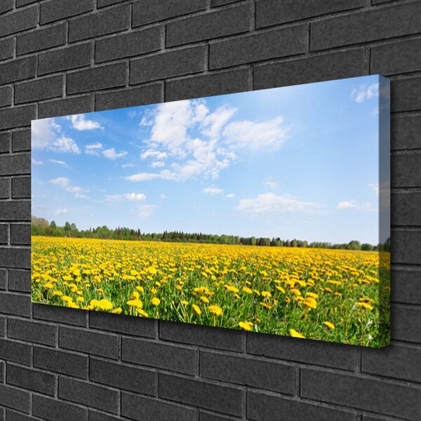 Quadro su tela Prato di tarassaco 100x50 cm