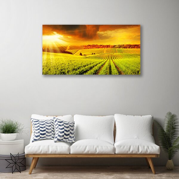 Quadro su tela Paesaggio del campo al tramonto 100x50 cm