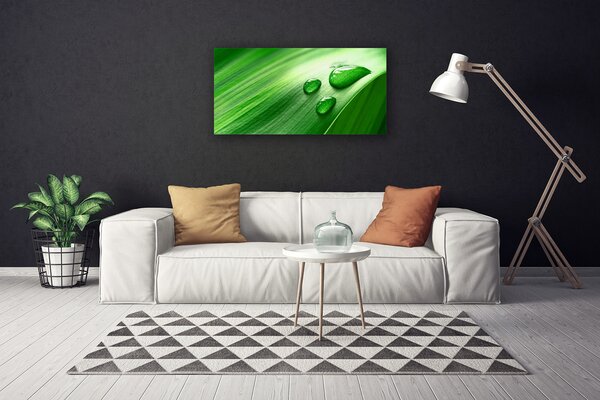 Quadro su tela Foglia, acqua, gocce 100x50 cm
