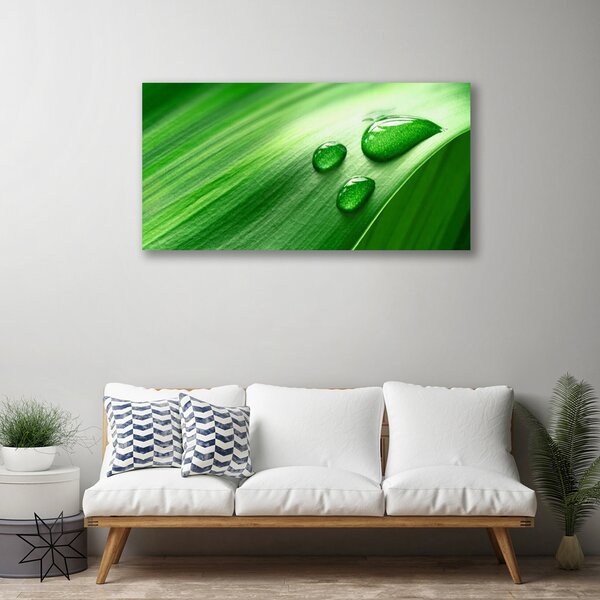 Quadro su tela Foglia, acqua, gocce 100x50 cm