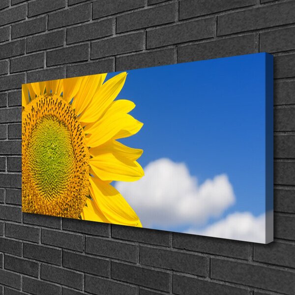 Foto quadro su tela Nuvole del cielo del girasole 100x50 cm