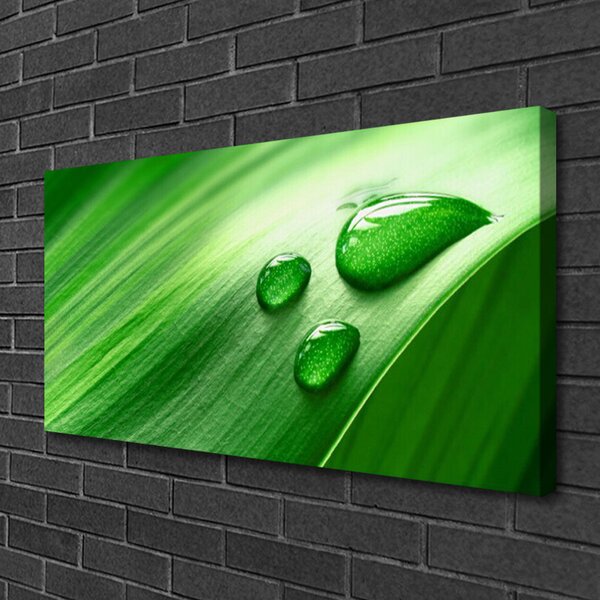 Quadro su tela Foglia, acqua, gocce 100x50 cm