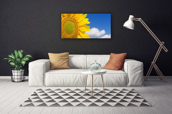 Foto quadro su tela Nuvole del cielo del girasole 100x50 cm