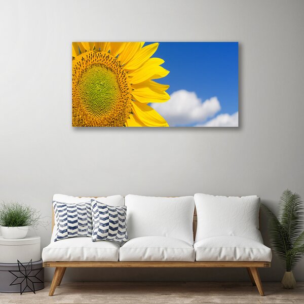 Foto quadro su tela Nuvole del cielo del girasole 100x50 cm