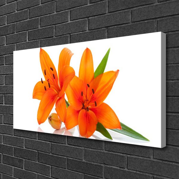 Quadro su tela Fiori di piante arancioni 100x50 cm