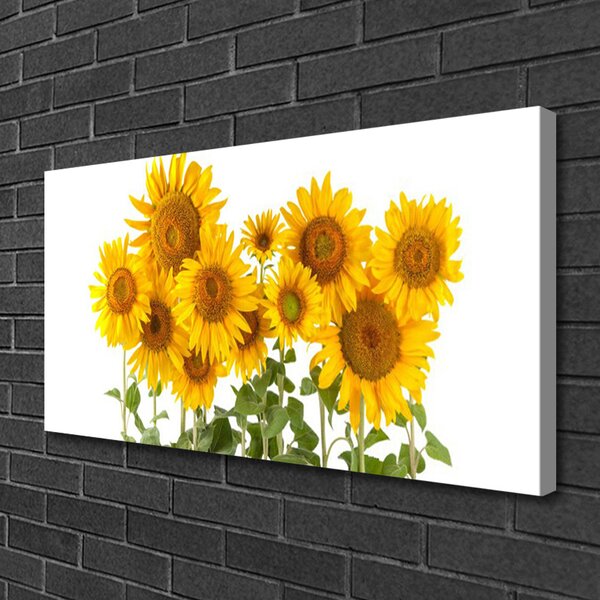 Quadro stampa su tela Pianta i girasoli 100x50 cm