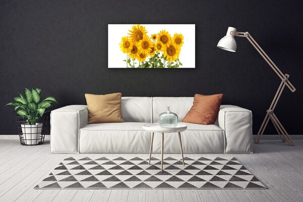 Quadro stampa su tela Pianta i girasoli 100x50 cm