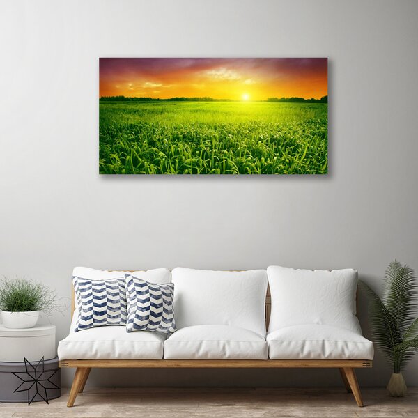 Quadro su tela Alba del campo di cereali 100x50 cm