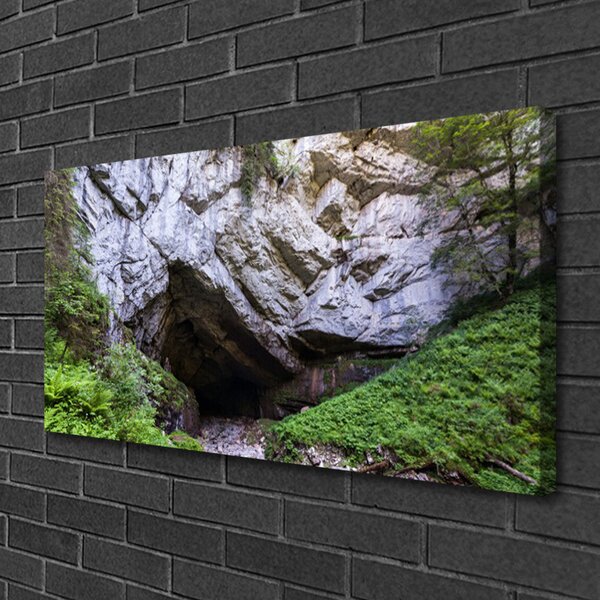 Quadro stampa su tela Grotta di montagna della natura 100x50 cm