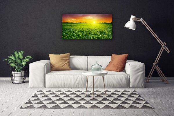 Quadro su tela Alba del campo di cereali 100x50 cm