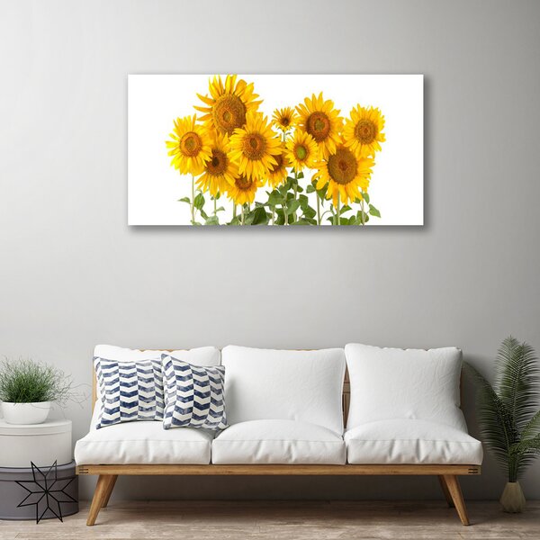 Quadro stampa su tela Pianta i girasoli 100x50 cm