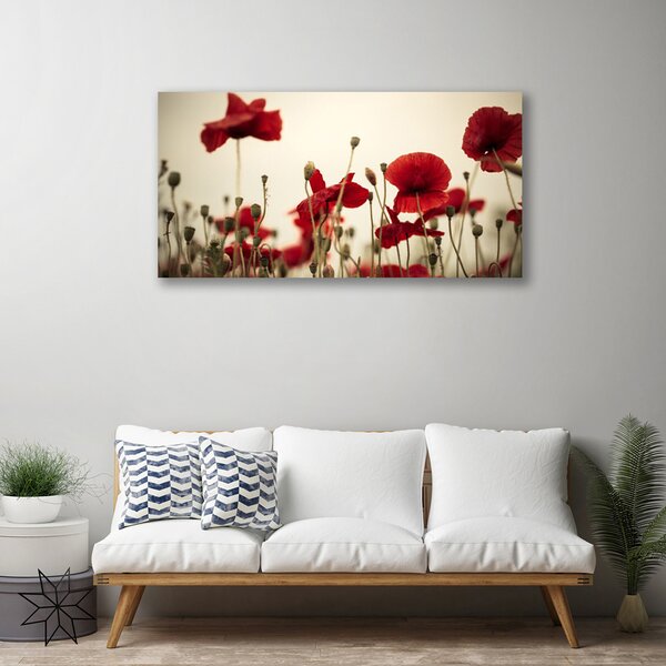 Quadro su tela Fiori di papaveri 100x50 cm