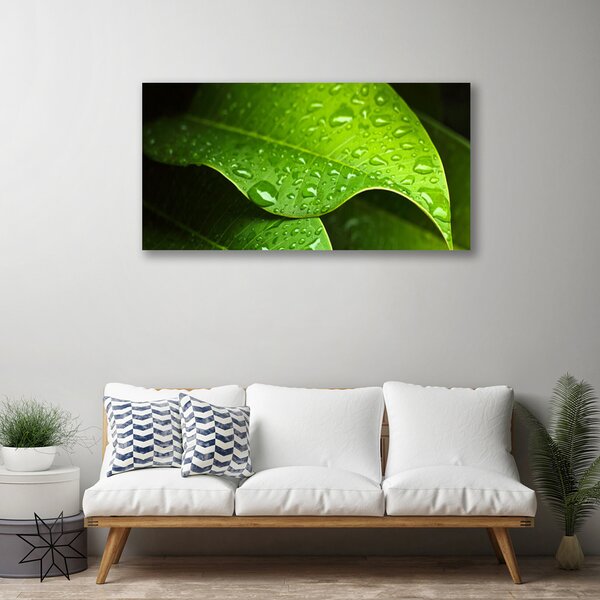Quadro stampa su tela Gocce di foglie di rosa 100x50 cm