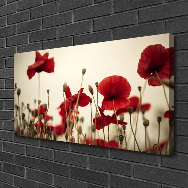 Quadro su tela Fiori di papaveri 100x50 cm