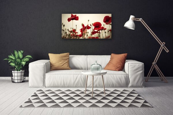 Quadro su tela Fiori di papaveri 100x50 cm