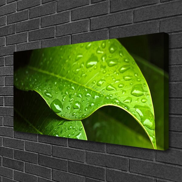 Quadro stampa su tela Gocce di foglie di rosa 100x50 cm