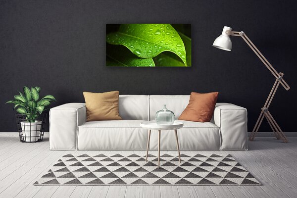 Quadro stampa su tela Gocce di foglie di rosa 100x50 cm