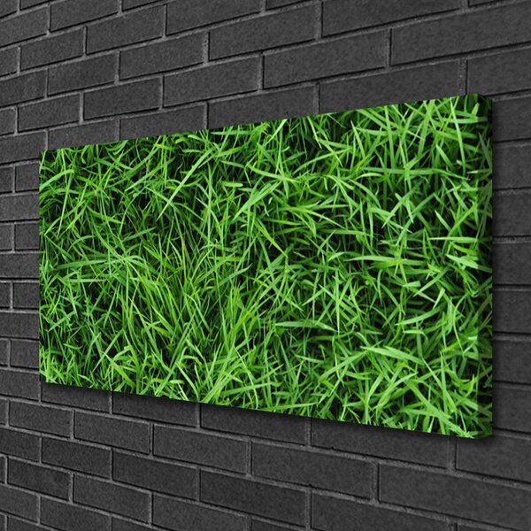 Quadro stampa su tela L'erba Il prato 100x50 cm