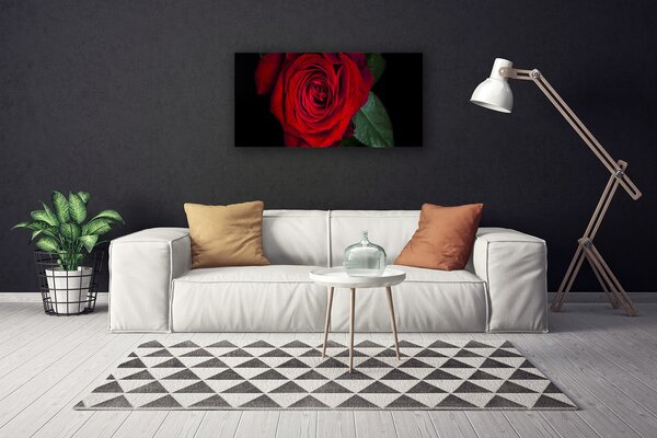 Quadro su tela Rosa Sul Muro 100x50 cm