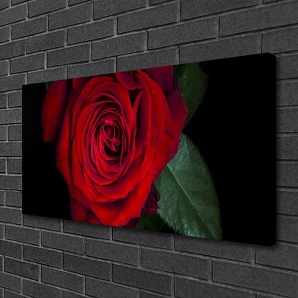 Quadro su tela Rosa Sul Muro 100x50 cm